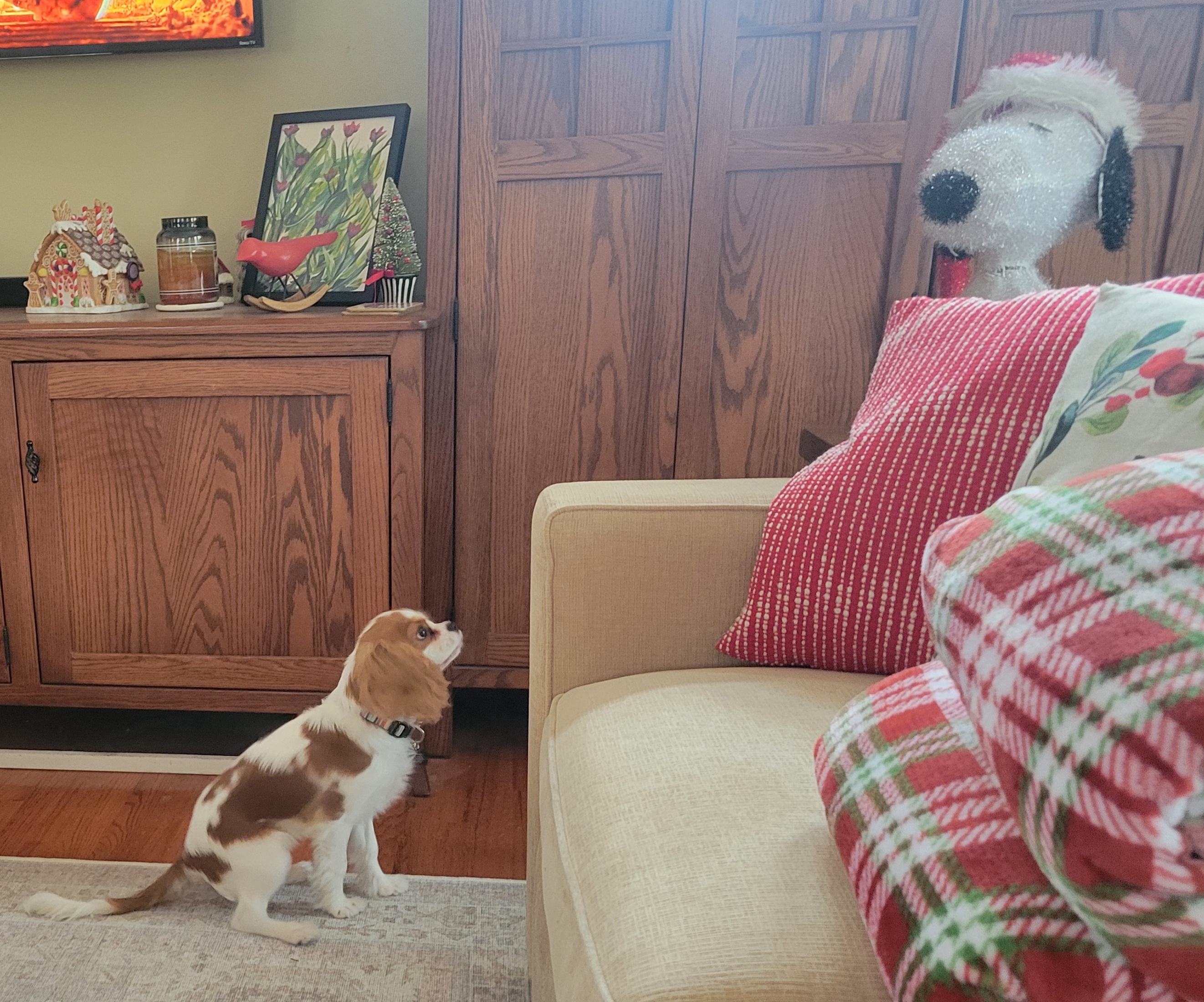 2024-12-15 Bingley and Snoopy.jpg